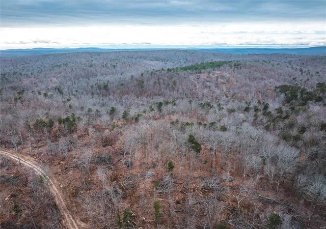 Photo 1 of Land for sale at 39 Off Cr 410, Fredericktown, MO 63645 | MLS# 24021376 | Listing updated on 2024-04-11