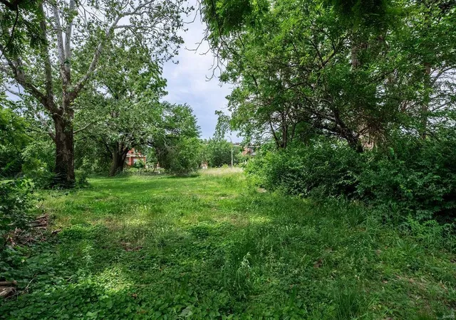 Photo 4 of Land for sale at 4328 N Newstead Ave, Saint Louis, MO 63115 | MLS# 24025082 | Listing updated on 2024-09-19
