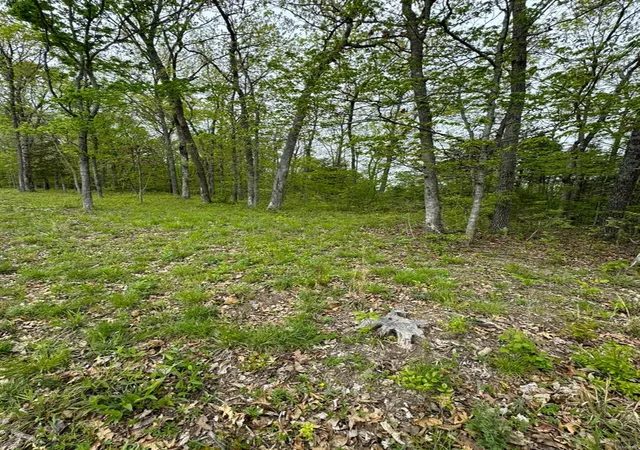 Photo 2 of Land for sale at 1601 Hawkwood Trl, De Soto, MO 63020 | MLS# 24025467 | Listing updated on 2024-10-29