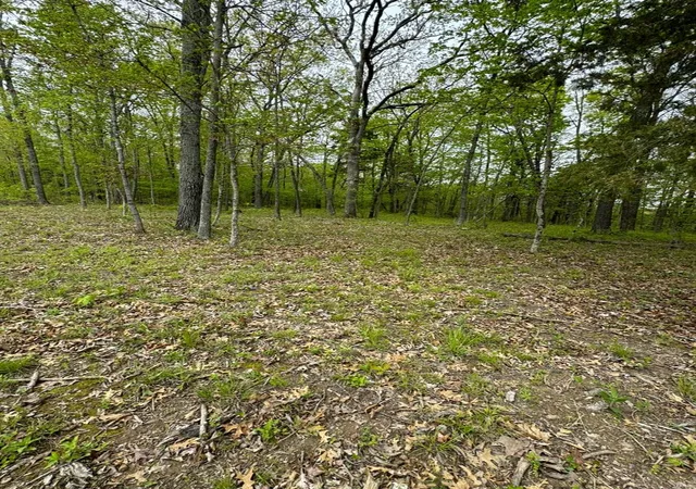 Photo 3 of Land for sale at 1601 Hawkwood Trl, De Soto, MO 63020 | MLS# 24025467 | Listing updated on 2024-10-29