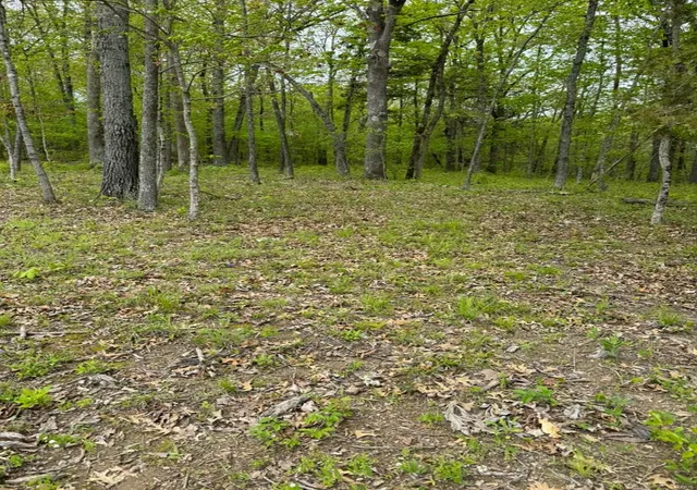 Photo 3 of Land for sale at 1601 Hawkwood Trl, De Soto, MO 63020 | MLS# 24025467 | Listing updated on 2024-10-29