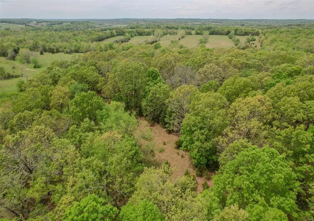 Photo 36 of Sale Pending at 0 King Rd, Stoutland, MO 65567 | MLS# 24026331 | Listing updated on 2024-11-24