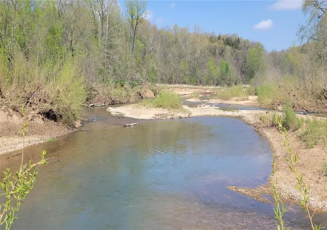 Photo 31 of Land for sale at 477 Windes Ridge Road, Richland, MO 65556 | MLS# 24026524 | Listing updated on 2024-07-13