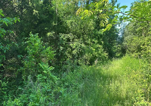 Photo 1 of Land for sale at 210 Madison And 72 E, Fredericktown, MO 63645 | MLS# 24029100 | Listing updated on 2024-11-04