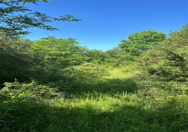Photo 3 of Land for sale at 210 Madison And 72 E, Fredericktown, MO 63645 | MLS# 24029100 | Listing updated on 2024-11-04