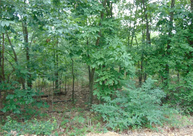 Photo 1 of Land for sale at 0 Ripley Ff1, Doniphan, MO 63935 | MLS# 24029244 | Listing updated on 2024-08-08