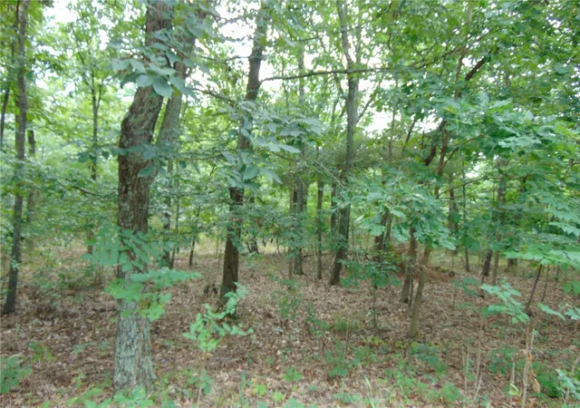 Photo 2 of Land for sale at 0 Ripley Ff1, Doniphan, MO 63935 | MLS# 24029244 | Listing updated on 2024-08-08