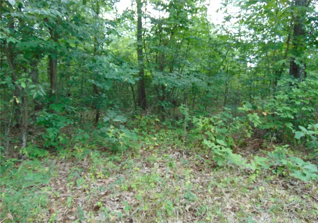 Photo 3 of Land for sale at 0 Ripley Ff1, Doniphan, MO 63935 | MLS# 24029244 | Listing updated on 2024-08-08