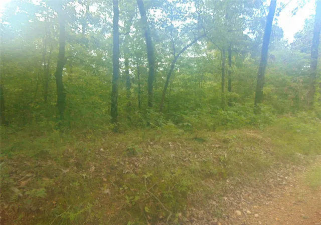 Photo 4 of House for sale at 0 Ripley Ff1, Doniphan, MO 63935 | MLS# 24029244 | Listing updated on 2024-08-08