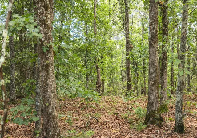Photo 3 of House for sale at 0 Hillside Rd, De Soto, MO 63020 | MLS# 24033770 | Listing updated on 2025-02-27