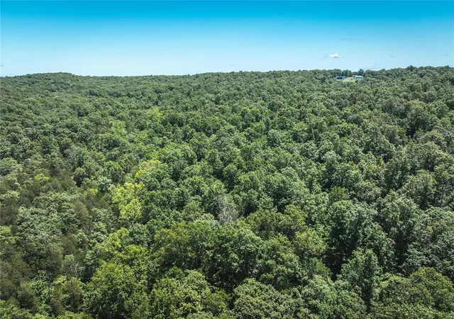 Homes for sale in De Soto, MO | 1 Hillside Rd, De Soto, MO 63020 | MLS# 24034496