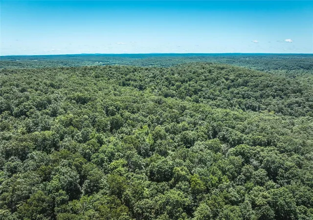 Homes for sale in De Soto, MO | 1 Hillside Rd, De Soto, MO 63020 | MLS# 24034496