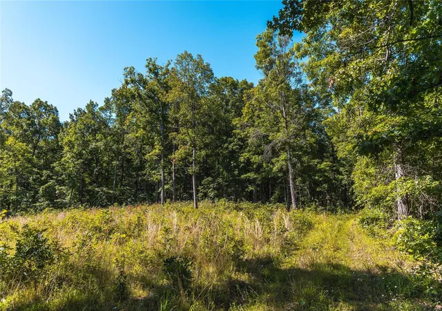 Homes for sale in Hartshorn, MO | 0 Smith Road, Hartshorn, MO 65479 | MLS# 24035679