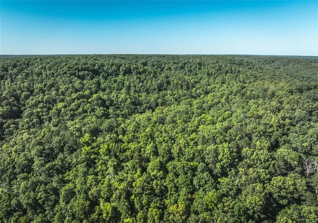 Homes for sale in Hartshorn, MO | 0 Smith Road, Hartshorn, MO 65479 | MLS# 24035679