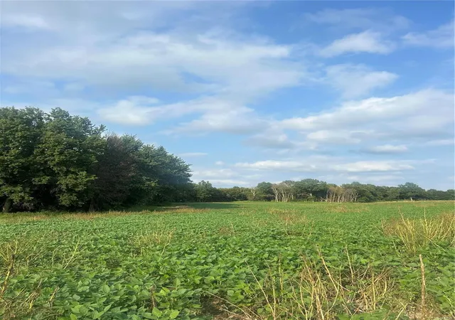 Photo 1 of Sale Pending at 0 May Apple Rd, Middletown, MO 63359 | MLS# 24036725 | Listing updated on 2024-11-13