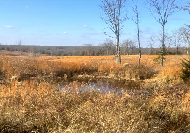 3rd image of 4551 State Route O, Rolla, MO 65401 | MLS# 24038020