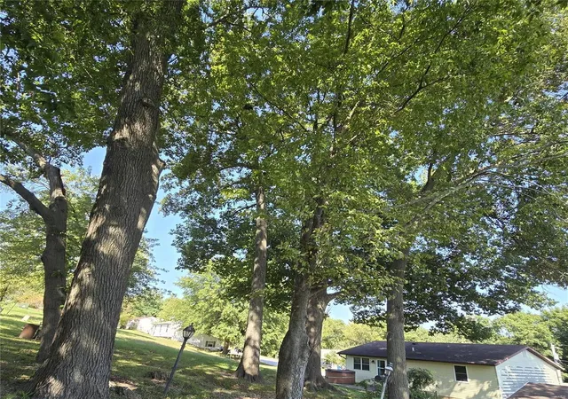 Photo 21 of Sale Pending at 400 Vine St, New Haven, MO 63068 | MLS# 24038659 | Listing updated on 2024-11-21