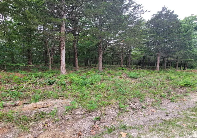 Photo 1 of Land for sale at 1768 Wellington Dr, De Soto, MO 63020 | MLS# 24040495 | Listing updated on 2024-06-30
