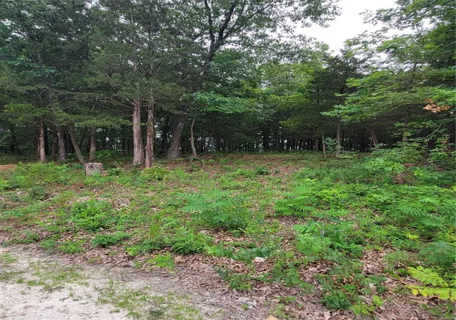 Photo 2 of Land for sale at 1768 Wellington Dr, De Soto, MO 63020 | MLS# 24040495 | Listing updated on 2024-06-30