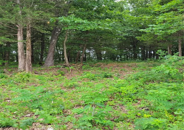 Photo 3 of Land for sale at 1768 Wellington Dr, De Soto, MO 63020 | MLS# 24040495 | Listing updated on 2024-06-30