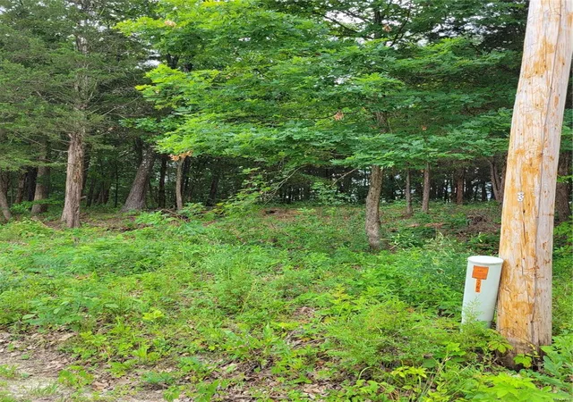 Photo 3 of Land for sale at 1768 Wellington Dr, De Soto, MO 63020 | MLS# 24040495 | Listing updated on 2024-06-30