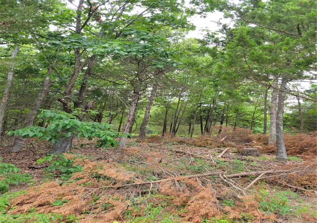 Photo 3 of Land for sale at 933 Stone Gate Dr, De Soto, MO 63020 | MLS# 24040982 | Listing updated on 2024-06-30