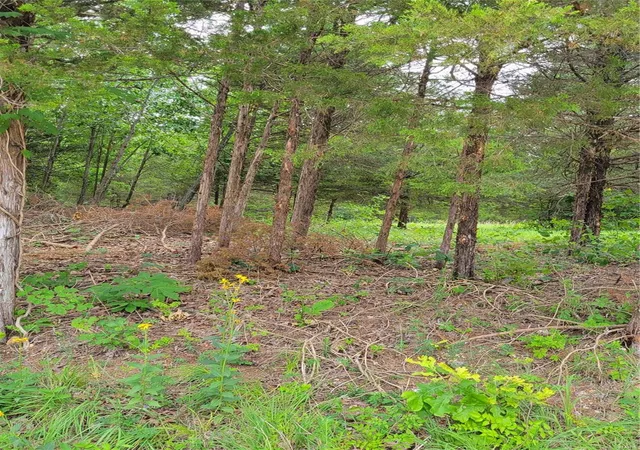 Photo 3 of Land for sale at 933 Stone Gate Dr, De Soto, MO 63020 | MLS# 24040982 | Listing updated on 2024-06-30