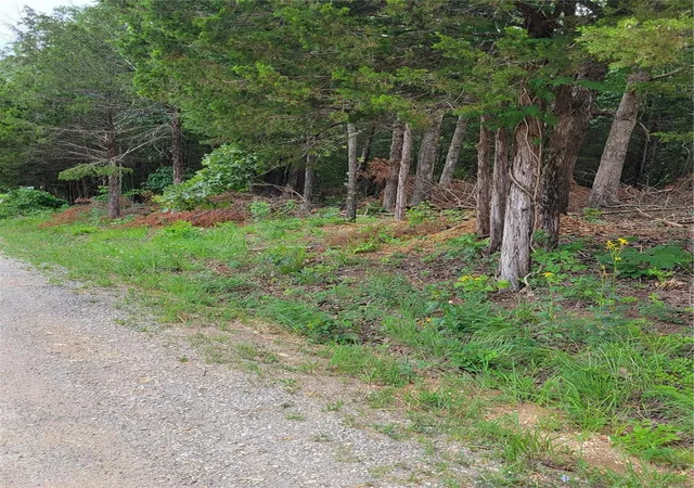 Photo 4 of Land for sale at 933 Stone Gate Dr, De Soto, MO 63020 | MLS# 24040982 | Listing updated on 2024-06-30