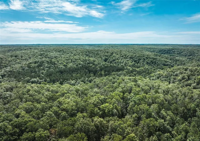 1st image of 0 Dent County 626, Salem, MO 65560 | MLS# 24040992