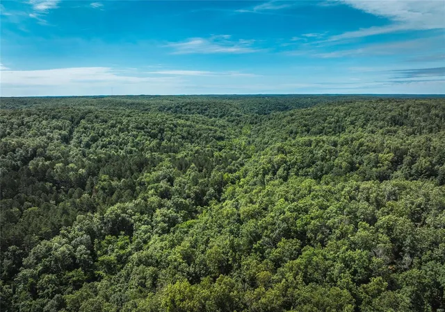 3rd image of 0 Dent County 626, Salem, MO 65560 | MLS# 24040992