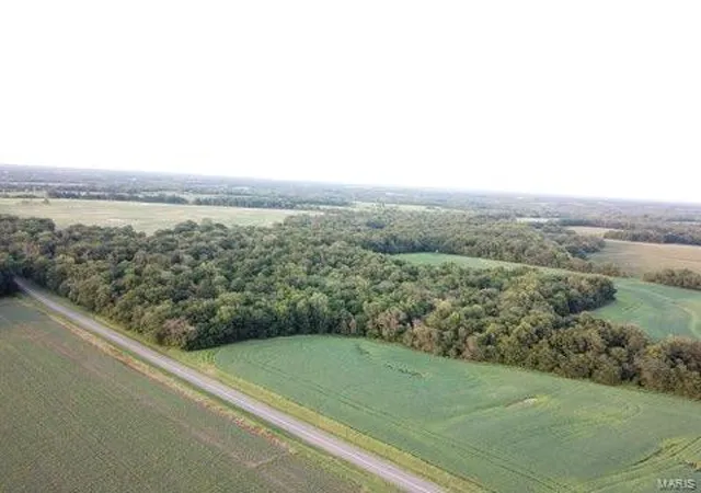 Photo 10 of Land for sale at 0 Hwy M / County Rd 419, Middletown, MO 63359 | MLS# 24042132 | Listing updated on 2024-11-13