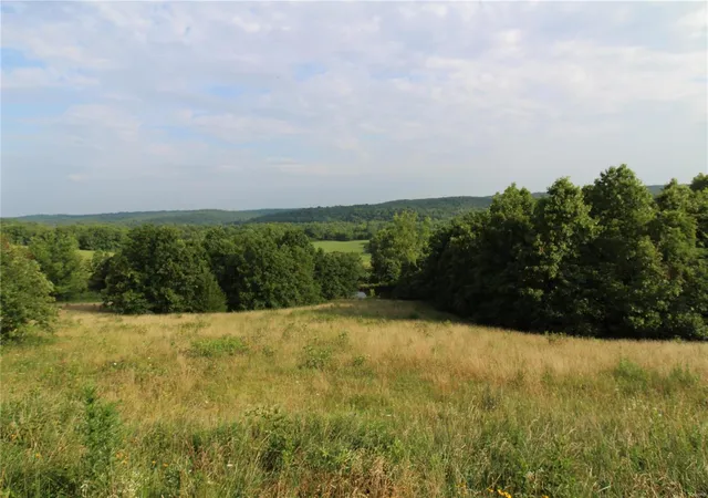 Homes for sale in Willow Springs, MO | 0 Hwy 137, Willow Springs, MO 65793 | MLS# 24042962