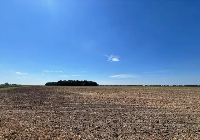 Photo 1 of Land for sale at 0 E County Rd 2, Steele, MO 63877 | MLS# 24043003 | Listing updated on 2024-12-18