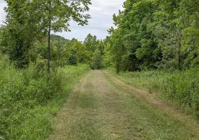 Photo 2 of Land for sale at 0 Allen Rd, Potosi, MO 63664 | MLS# 24043143 | Listing updated on 2024-11-30