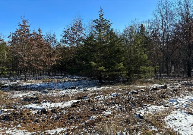 Photo 2 of Land for sale at 9 Riley Road, Monroe, MO 63456 | MLS# 24043184 | Listing updated on 2024-12-04