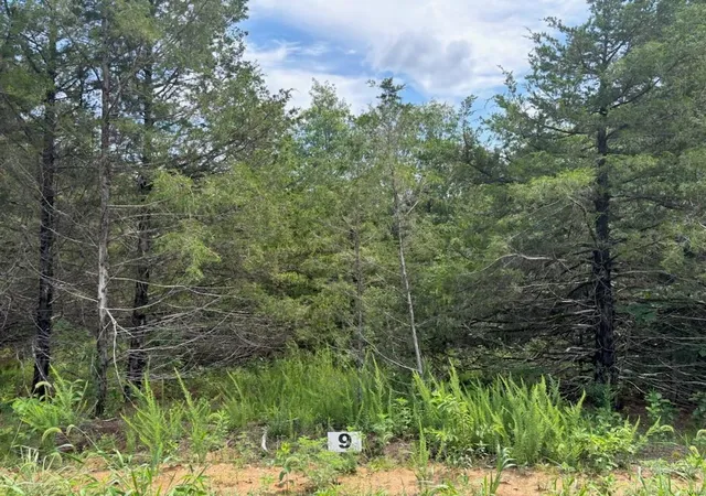 Photo 3 of Land for sale at 9 Riley Road, Monroe, MO 63456 | MLS# 24043184 | Listing updated on 2024-12-04
