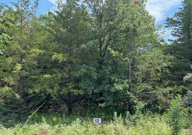 Photo 4 of Land for sale at 9 Riley Road, Monroe, MO 63456 | MLS# 24043184 | Listing updated on 2024-12-04