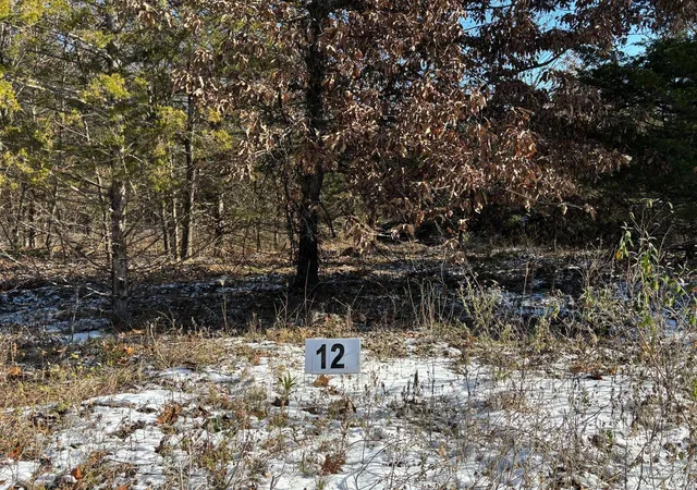 Photo 1 of Land for sale at 12 Riley Road, Monroe, MO 63456 | MLS# 24043187 | Listing updated on 2024-12-04