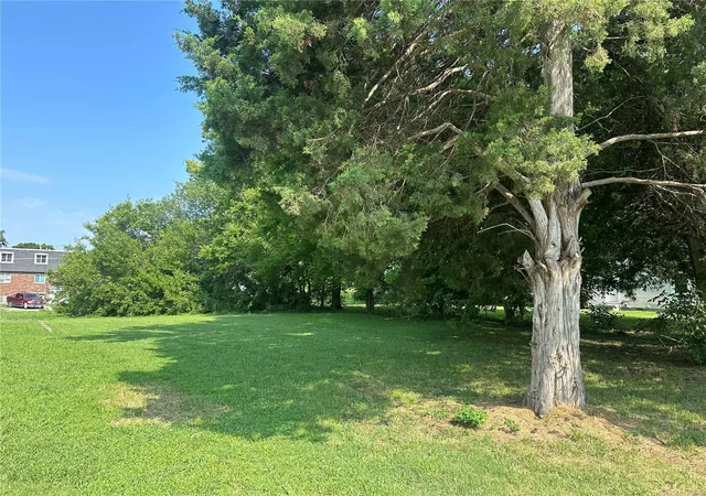 Photo 2 of Land for sale at 209 N 44th St, Belleville, IL 62226 | MLS# 24043596 | Listing updated on 2024-09-18