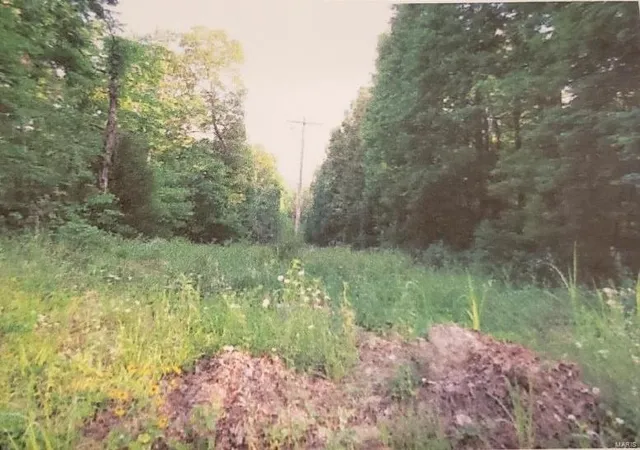 Photo 1 of Land for sale at 0 Hwy 32, Falcon, MO 65470 | MLS# 24044320 | Listing updated on 2024-07-14