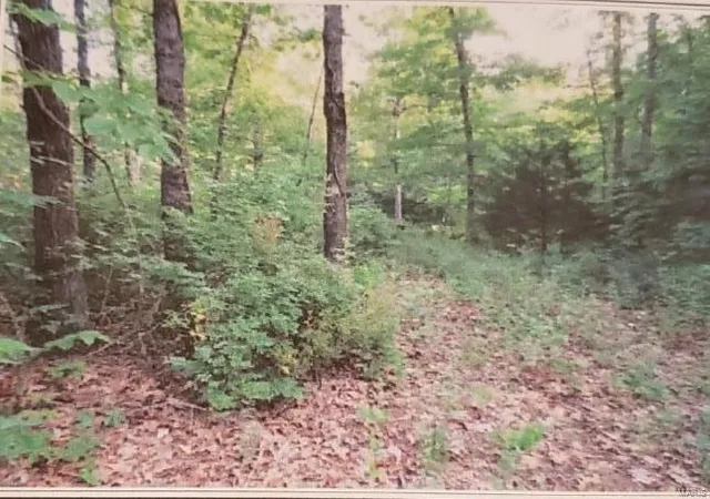 Photo 3 of Land for sale at 0 Hwy 32, Falcon, MO 65470 | MLS# 24044320 | Listing updated on 2024-07-14
