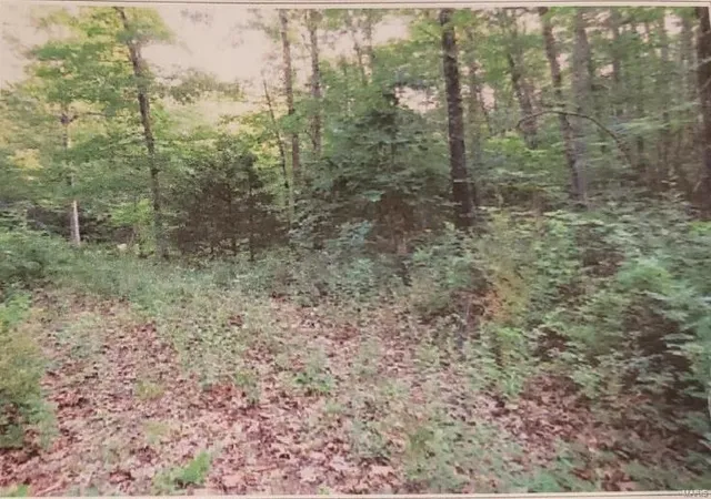 Photo 3 of House for sale at 0 Hwy 32, Falcon, MO 65470 | MLS# 24044320 | Listing updated on 2024-07-14