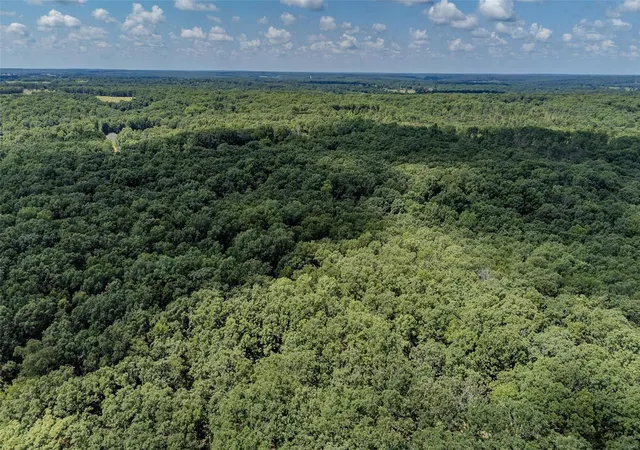 Homes for sale in Falcon, MO | 0 Tbd Sunflower Lane, Falcon, MO 65470 | MLS# 24044700