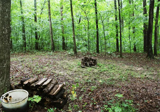 Photo 2 of Land for sale at 0 County Road 500, Marble Hill, MO 63764 | MLS# 24044744 | Listing updated on 2025-02-28
