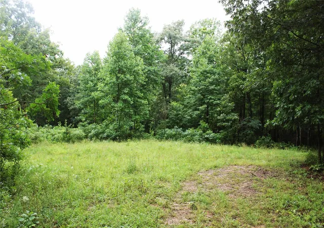 Photo 28 of Land for sale at 0 County Road 500, Marble Hill, MO 63764 | MLS# 24044744 | Listing updated on 2025-02-28