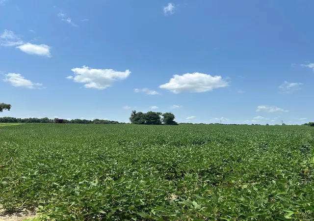 Photo 1 of House for sale at 0 Highway 62, Campbell, MO 63933 | MLS# 24045230 | Listing updated on 2024-11-07