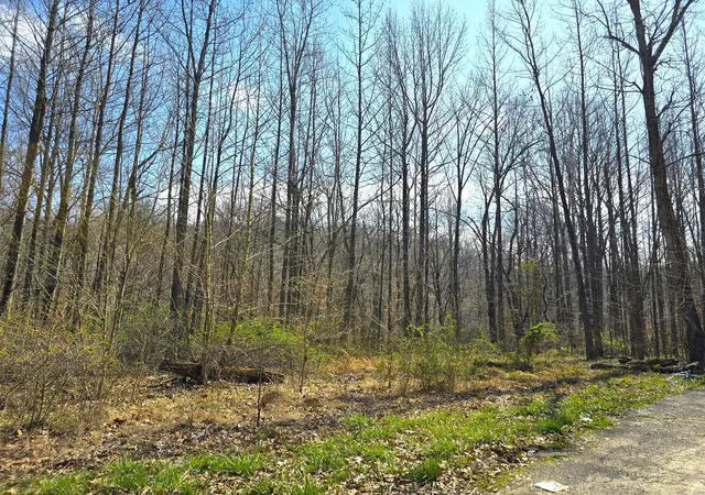 Photo 1 of Land for sale at 20286 Sherwood Forest Dr, Essex, MO 63846 | MLS# 24046294 | Listing updated on 2024-10-23