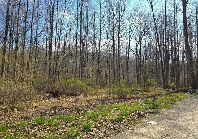 Photo 2 of Land for sale at 20286 Sherwood Forest Dr, Essex, MO 63846 | MLS# 24046294 | Listing updated on 2024-10-23