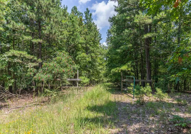 2nd image of 1421 County Road 420, Piedmont, MO 63957 | MLS# 24047361