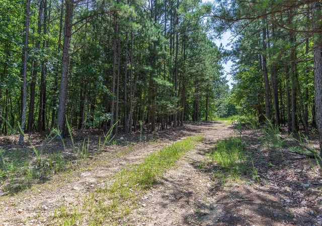 3rd image of 1421 County Road 420, Piedmont, MO 63957 | MLS# 24047361